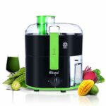 Electric Juicer